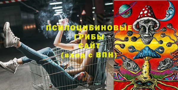 ГАЛЛЮЦИНОГЕННЫЕ ГРИБЫ Алексеевка