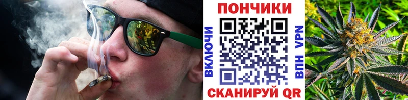 Канабис сатива  купить наркотики цена  Куртамыш 